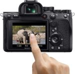 Фотоаппарат Sony α7R IV